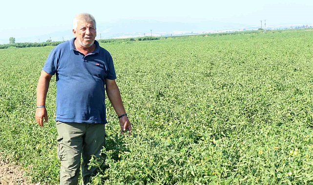 Manyas Gölü'nden gelen ilaçlı su sorununa üretici çözüm bekliyor