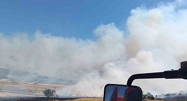 Manyas'ta çıkan anız ve orman yangını söndürüldü