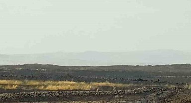 Mardin'de çıkan anız yangını söndürüldü