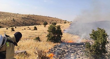 Mardin'de örtü ve anız yangını söndürüldü