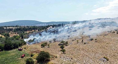 Menteşe'deki makilik yangını kontrol altına alındı