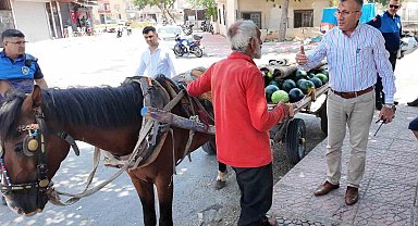 Mersin'de bitkin düşen at yeni yuvasına kavuştu