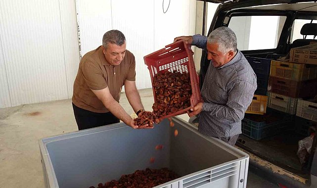 MTB Başkanı Özcan: "Lisanslı depolar üreticinin güvencesidir"