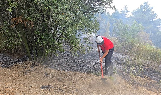 Mudanya'da rüzgarın etkisiyle büyüyen yangın kontrol altına alındı