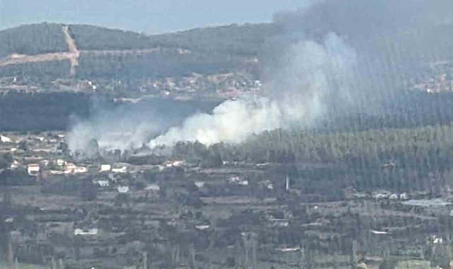 Muğla Menteşe'de orman yangını