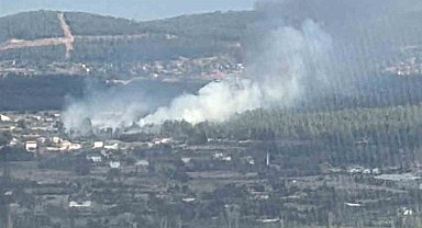 Muğla Menteşe'de orman yangını