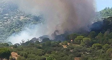 Muğla'da orman yangını