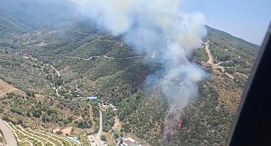 Narlıdere'deki orman yangınına havadan ve karadan müdahale