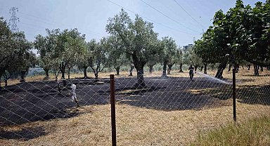 Nazilli'deki zirai alan yangını söndürüldü