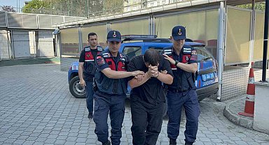 Odunluğa saklanan 4 bin 531 uyuşturucu hap ele geçirildi: 1 tutuklama