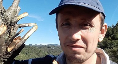 Ordu'da ağaç keserken düşen kişi hayatını kaybetti
