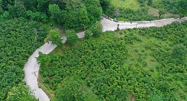 Ordu'da beton yol çalışmaları
