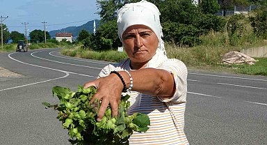 Ordu'da taze fındık tezgahlarda: Kilosu 200 lira