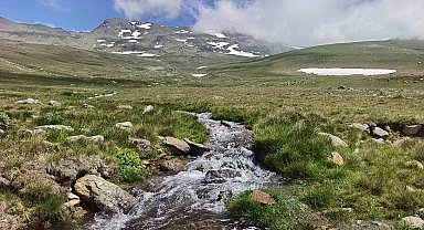 Ordu'nun yaylalarında yaz güzelliği
