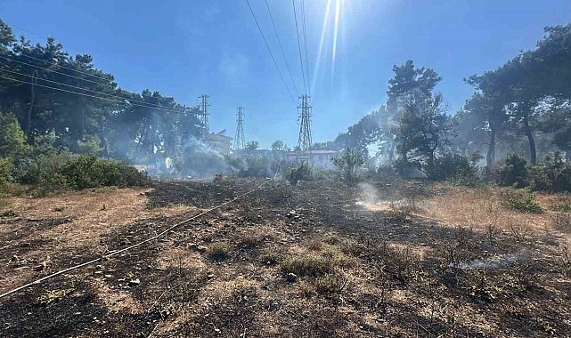 Ormanlık alanda çıkan yangın büyümeden söndürüldü