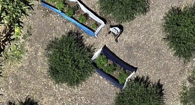 Osmaniye'de 31 kilo esrar ve 527 kök kenevir ele geçirildi