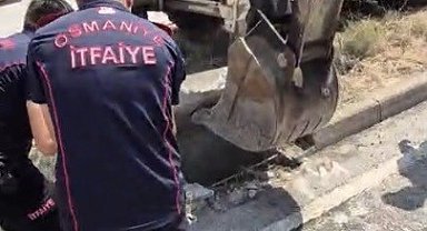Osmaniye'de mazgala düşen yavru kedi itfaiye ekiplerince kurtarıldı