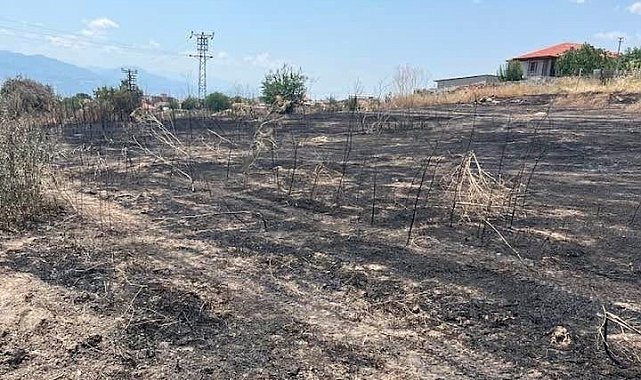 Otluk alanda çıkan yangın büyümeden söndürüldü