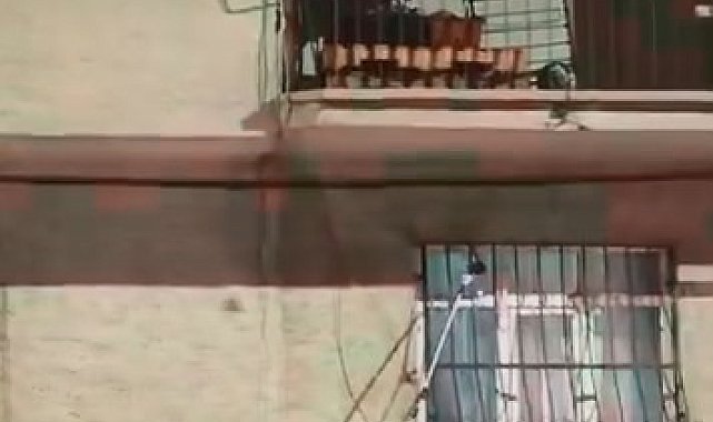 Pencere korkuluğundaki yılan ekiplerce yakalandı