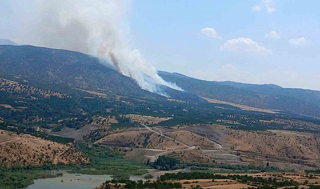 Pütürge'de orman yangını