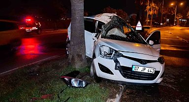 Refüjdeki palmiyeye çarpan otomobilin sürücüsü yaralandı