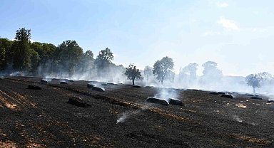 Samsun'da hasat sırasında yangın: Yaklaşık 300 dönüm buğday ekili alan hasar gördü
