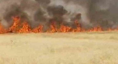 Şanlıurfa'da 45 dönüm buğday ekili alan yandı