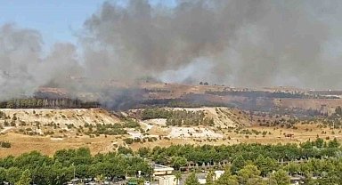 Şanlıurfa'da ormanlık alanda korkutan yangın
