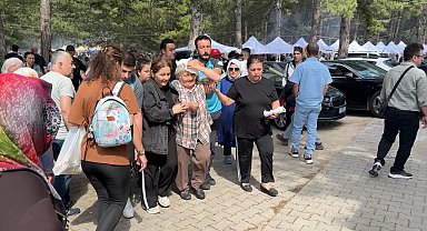 Şenlikte ağaçtan düşen dal yaşlı kadını yaraladı