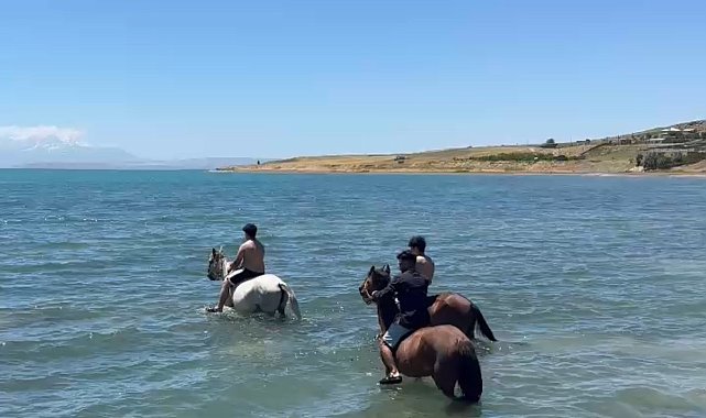 Sıcaktan bunalan gençler atlarıyla Van Gölü'nde serinledi