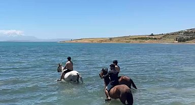 Sıcaktan bunalan gençler atlarıyla Van Gölü'nde serinledi