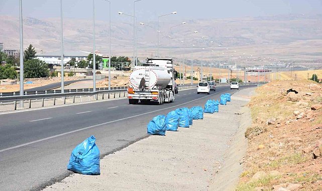 Siirt'te çevre yolunda kapsamlı temizlik mesaisi