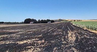 Silivri'de elektrik direği kesimi sırasında yangın: Ekili araziler zarar gördü