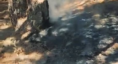 Simav Gölcük mesire alanında korkutan yangın