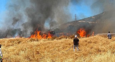Simav'da buğday tarlasındaki yangında 50 dekar alan zarar gördü