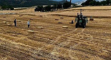 Sinop'ta yılın ilk buğdayları hasat edildi