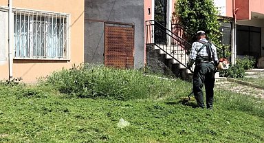 Söğüt'te çim biçme ve ilaçlama çalışmaları aralıksız devam ediyor
