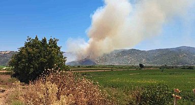 Söke'de zirai alanda yangın