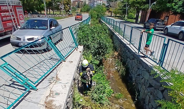 Su kanalına düşen yavru köpek itfaiye arasından kurtarıldı