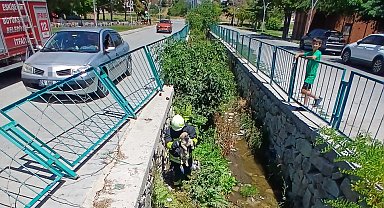 Su kanalına düşen yavru köpek itfaiye arasından kurtarıldı