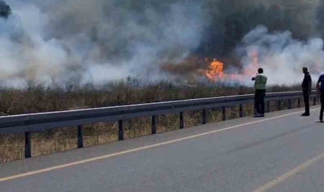 Sultangazi'de otluk alanda çıkan yangın ormana sıçradı