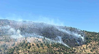 Sultanhisar'daki yangına havadan ve karadan müdahale sürüyor