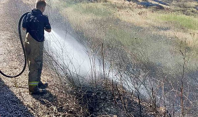 Susurluk'ta arazi ve koruluk alanda çıkan yangın söndürüldü