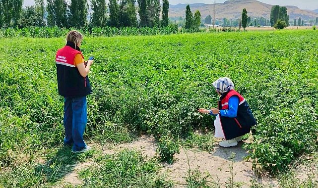 Tarım arazilerinin korunması çalışmaları sürüyor
