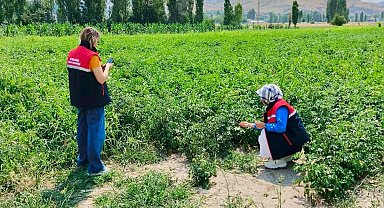 Tarım arazilerinin korunması çalışmaları sürüyor