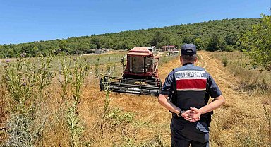 Tarlada su tankersiz hasat yapan biçördöver sahibine 3 bin 705 lira ceza