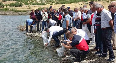 Tavşanlı göletlerine 123 bin yavru sazan bırakıldı