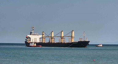Tekirdağ'da 169 metrelik gemi karaya oturdu