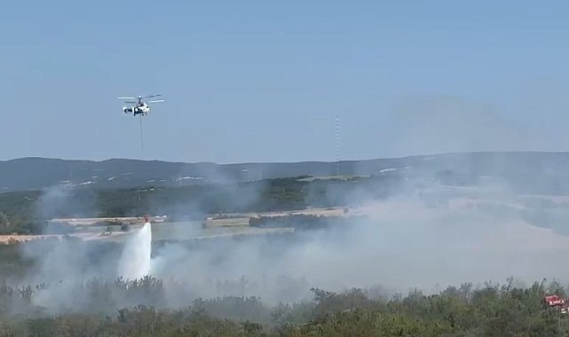 Tekirdağ'da anız yangını ormana sıçradı: Havadan ve karadan müdahaleyle kontrol altına alındı