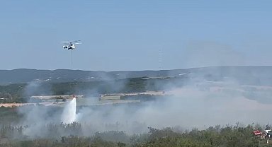 Tekirdağ'da anız yangını ormana sıçradı: Havadan ve karadan müdahaleyle kontrol altına alındı